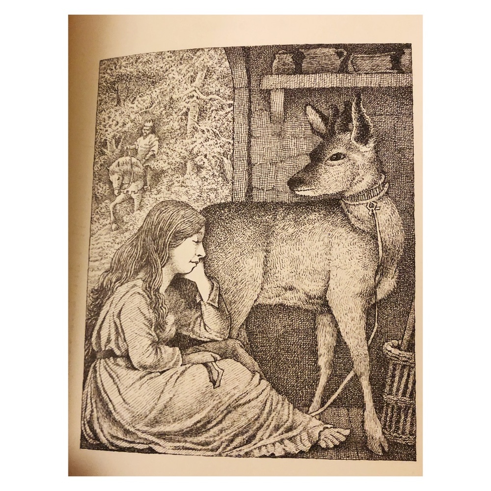 The Juniper Tree and Other Tales from Grimm, First Edition, Illustrated, Box Set - Picture 15 of 15